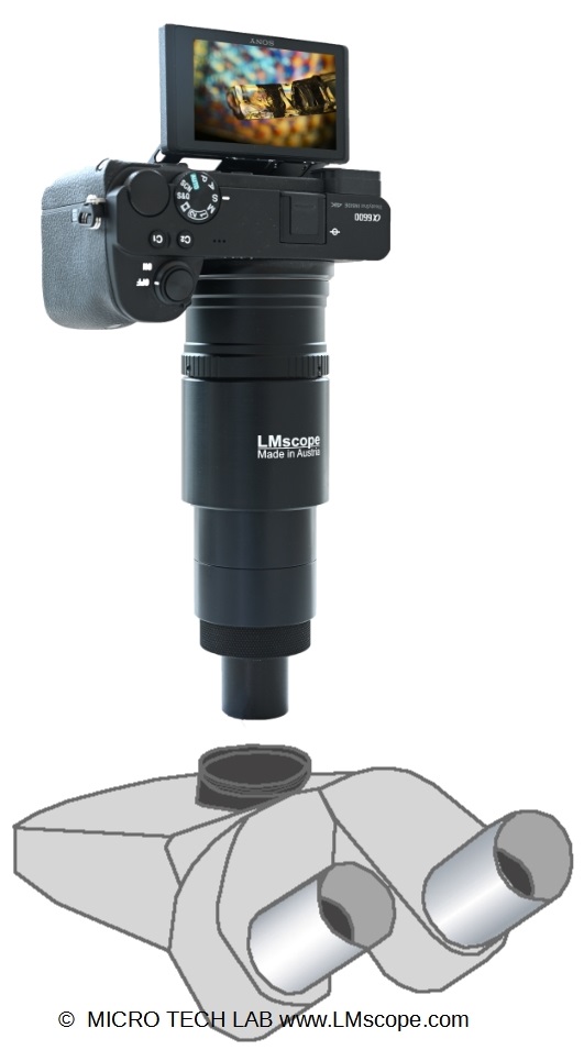 Moderne Digitalkameras am Leica Fototubus 10445925, Mikroskop Adapter, Kameraaufsatz, Mikroskopadapter