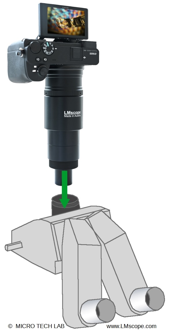 Top image quality with Leica photo tube 10446310, state-of-the-art digital cameras, camera attachment, microscope adapter, connecting optics