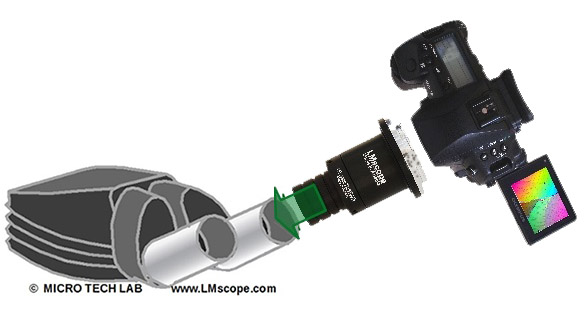adaptator para Leica m tubo de ocular 30mm