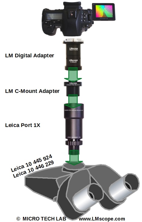 Leica m microscopio tubo trinoculario con camara de sistema o dslr