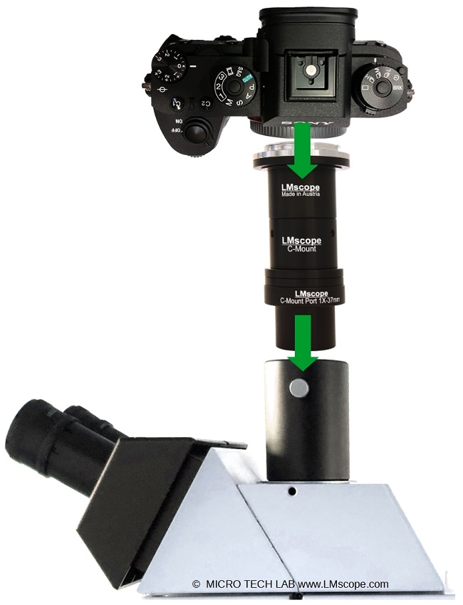 Montage Fototubus Leitz Leica 37mm Montage einer Digitalkamera mit Mikroskop Adapter