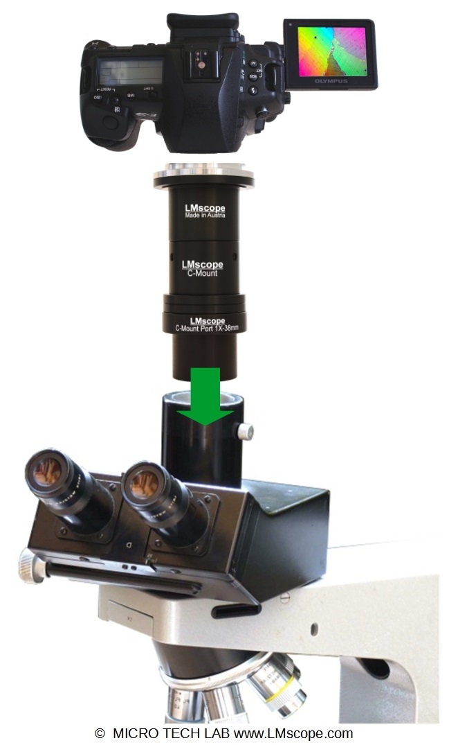 Digitalkameras am Leitz Fototubus 38mm , Adapterlösung, Mikroskop Adapter, Kamera Adapter