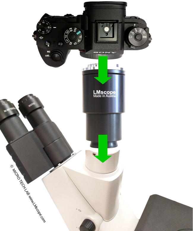 Motic AE2000 microscope camera adapter solution fullframe