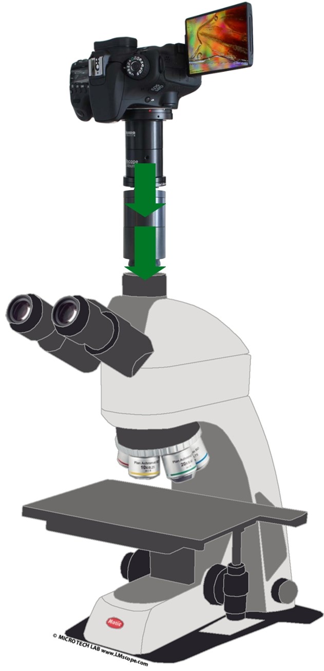 Motic günstiges Labormikroskop Mikroskopkamera DSLR DSLM Systemkamera