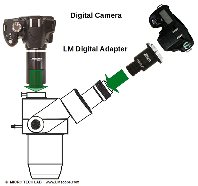 Adapterlsung Motic SMZ 168TP fr DSLR DSLM