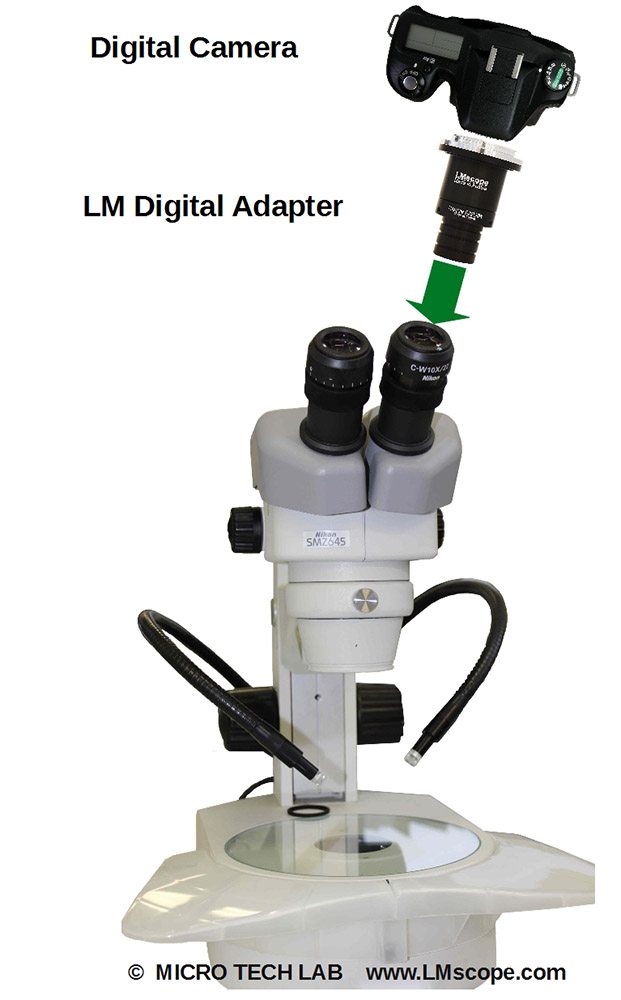 Stéréomicroscope Nikon SMZ avec DSLR et adaptateur numérique au tube oculaire