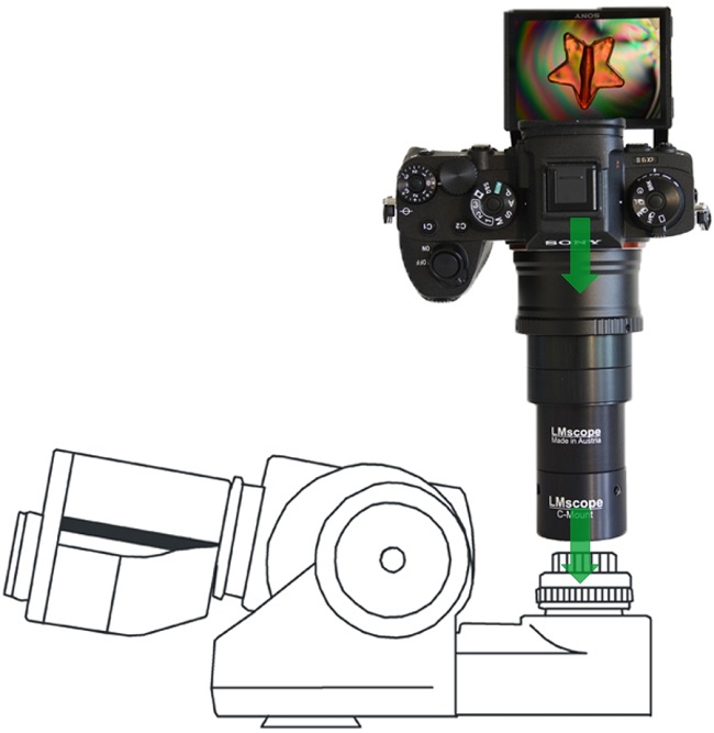 Nikon Eclipse Serie : C-TE2 mit C-TEP DSC mit DSLR,DSLM,Digitale Spiegelreflexkameras, spiegellose Systemkameras montieren