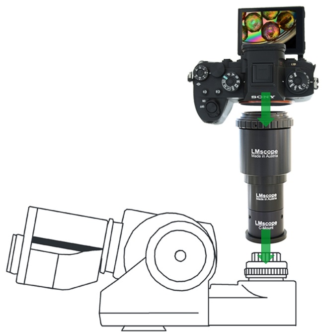 Mikroskopadapter:Nikon Eclipse Serie C-TE2 mit Adapter  Vollformatskameras montieren, digitale Spiegelreflex spiegellose Systemkameras