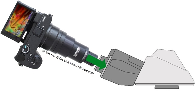 Eyepiece tube Nikon Y-TB binocular tube adapter solution for SLR cameras