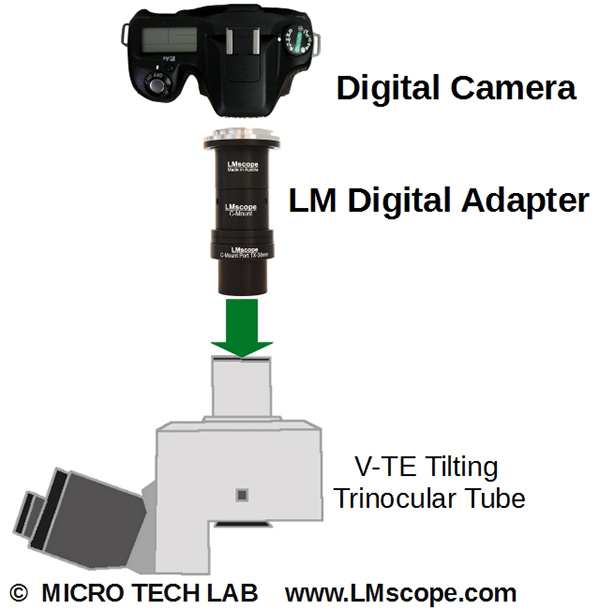 Nikon E200 E400 V-TE tilting tube trinoculaire