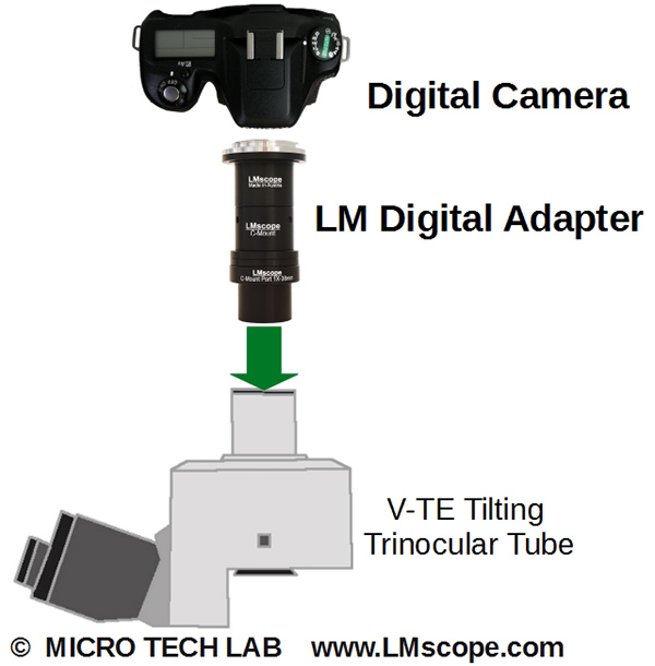 Nikon E800 V-TE Tilting Trinocular tube mit Adapterlösung