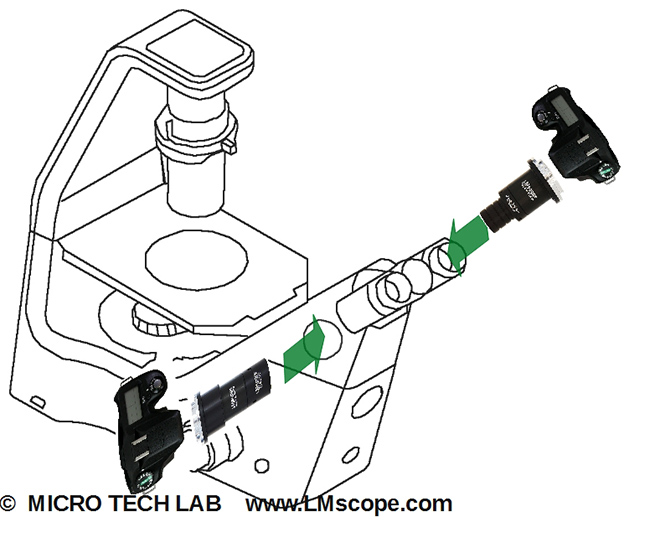 Nikon Eclipse inverted microscope camera mount on the side camera port and on the eyepiece