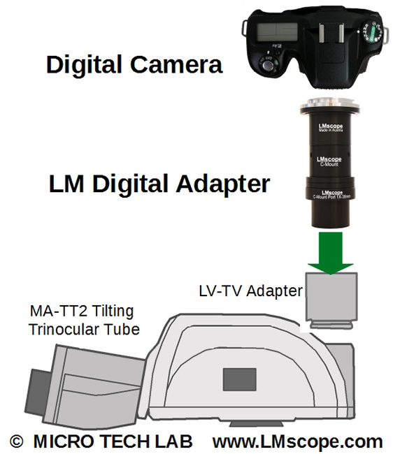 ergo tube with lm digital adapter TUST38C