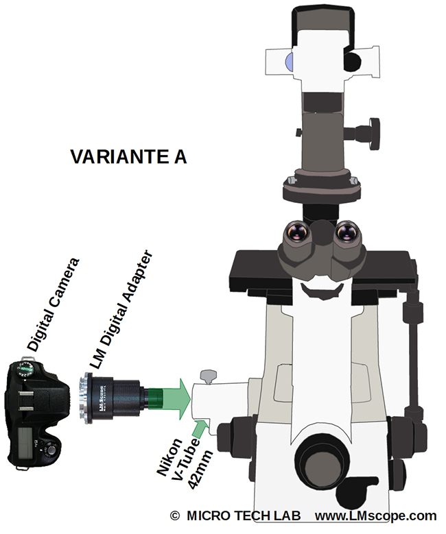 Montage Seitport DSLR LM adapter