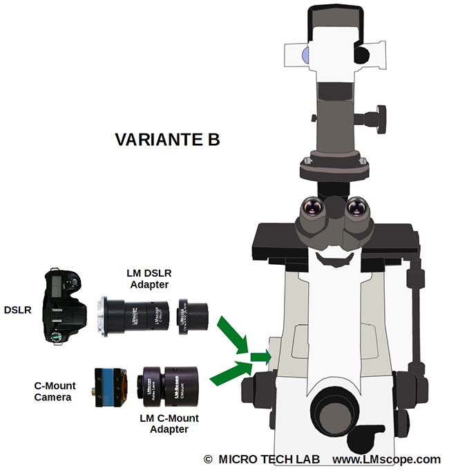 Nikon TE300 Mikroskop FOtoapparat direkte Montage