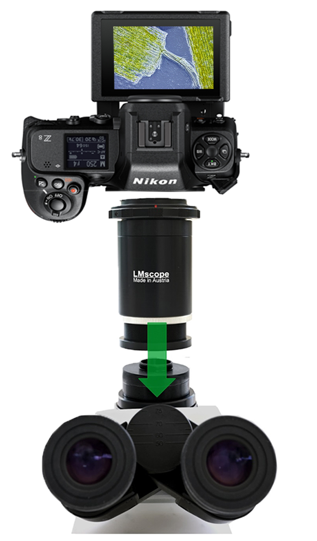 Montage Nikon Z8 Systemkamera am Fototubus, Mikroskop Adapter, C-Mount,Mikroskopmontage Mikroskopkamera-Adapter Kameraadapter