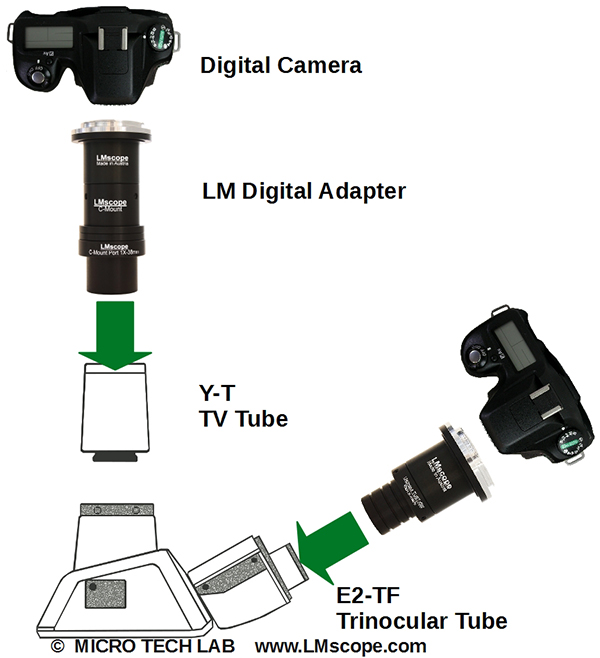 Trinokular tube with lm digital adapter and dslr