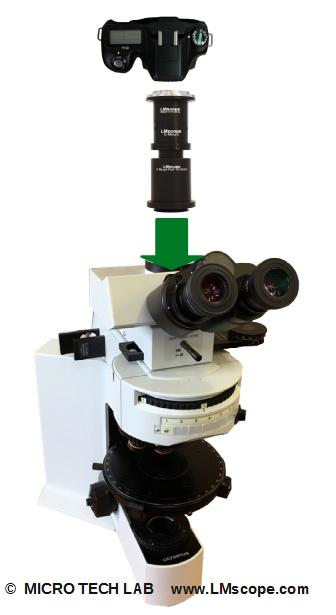 Canon EOS camera avec Olympus BX microscope