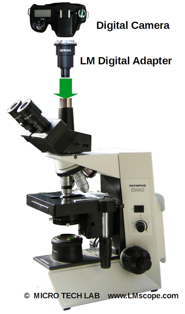 Olympus Mikroskop mit Fototubus mit Digitalkamera verbinden Systemkamera Mikroskopkamera