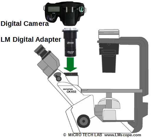 Olympus CKX53 tube trinoculaire pour la microphotographie