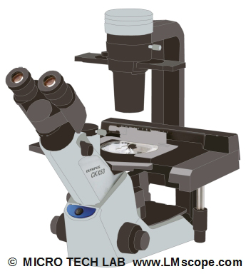 Inverse research microscope Olympus CKX53