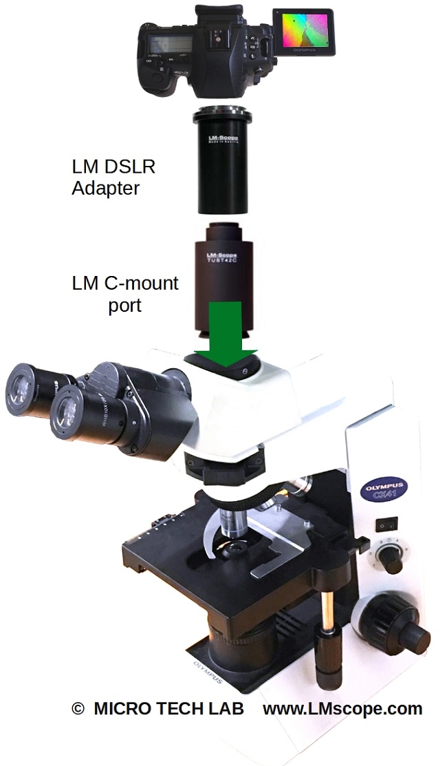 high resolution digital camera with LM digital adapter on the Olympus CX41