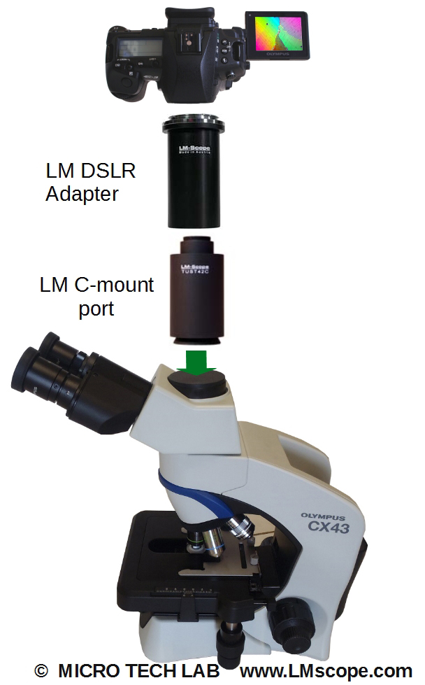 Adjust DSLR system camera to Olympus CX with LM microscope adapter
