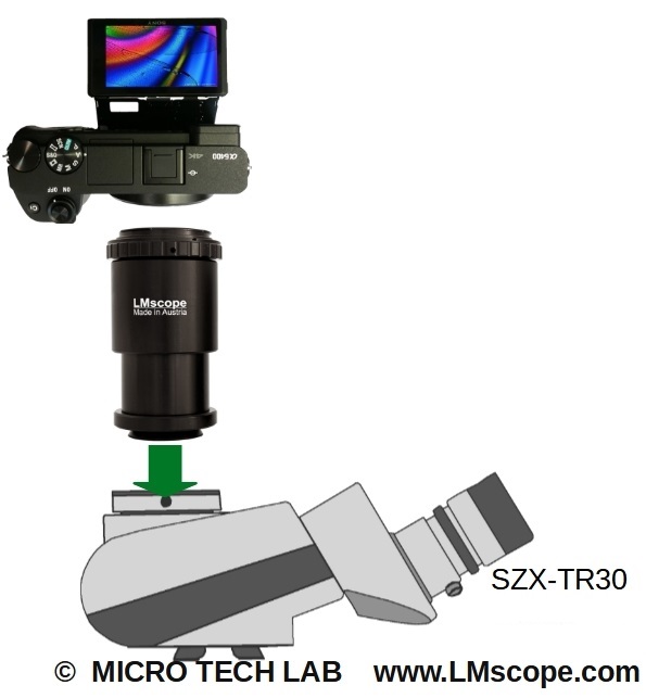 The best digital cameras on the Olympus SZX7 stereo microscope