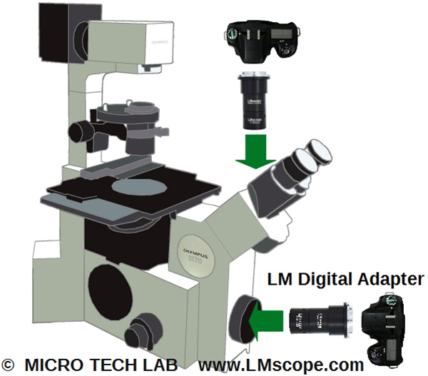 Mount the LM Digital Adapter on the frontside port