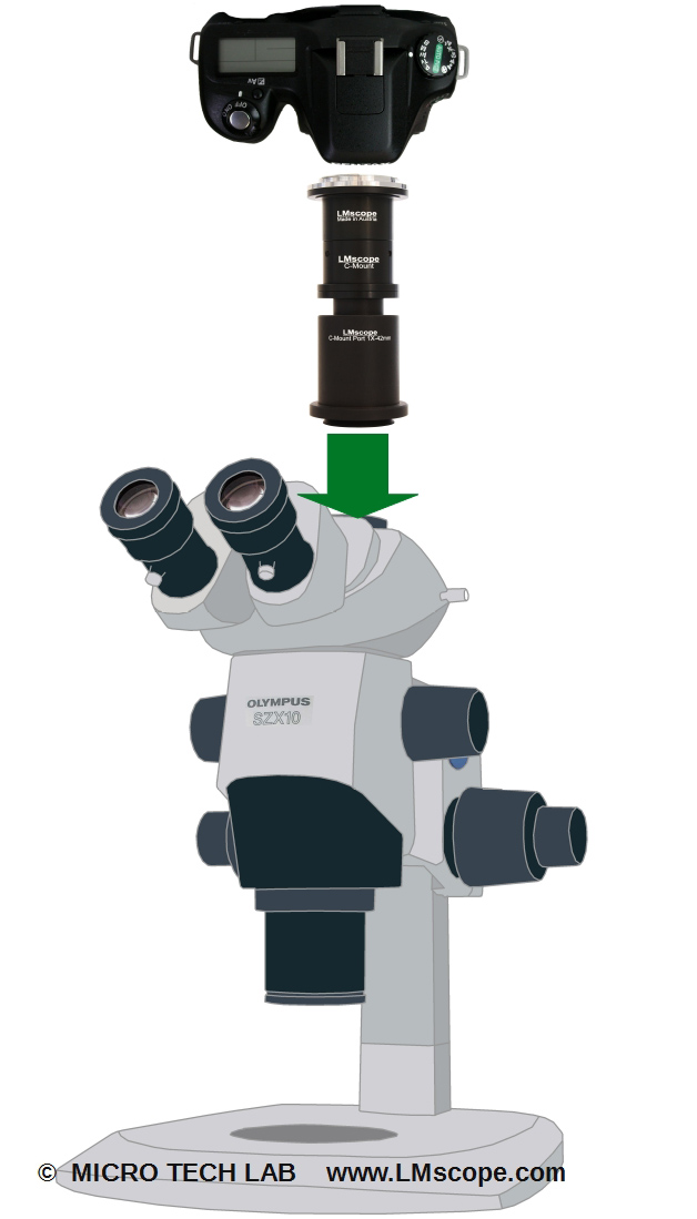 SZX 10 mit DSLR via LM Mikroskopadapter