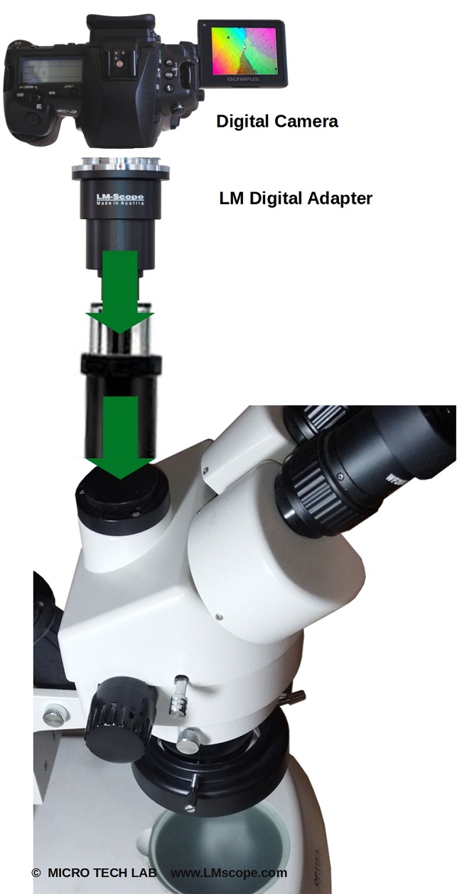 Digitalkamera am Mikroskop Optika SZM mit Fototubus mit Mikroskop Adapter, Kameraaufsatz