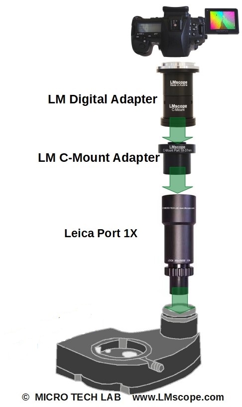 variantes de divisor de haz (HF F10 446 308 o HF V10 446 309) con DSLR