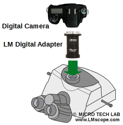 425502-0000-000, binokularer Fototubus Zeiss Axio Imager 2, mit Adapter und Kamera