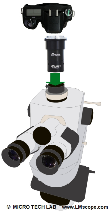 Zeiss Axio Observer adapter soluiton for photo tube vertical DSLR DSLM
