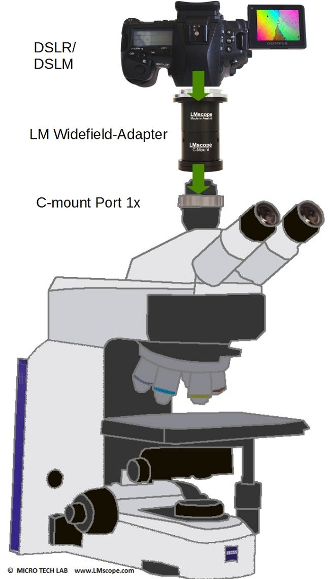 Montage DSLR Systemkamera Zeiss Axioscope 5 C-mount Port 1x Weitfeldadapter