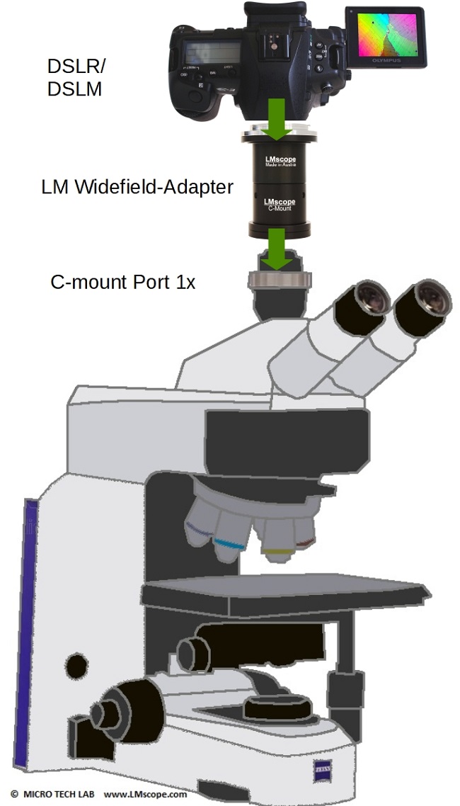  Englisch Montage DSLR Systemkamera Zeiss Axioscope 5 C-mount Port 1x Weitfeldadapter Mounting DSLR system camera Zeiss Axioscope 5 C-mount port 1x wide field adapter
