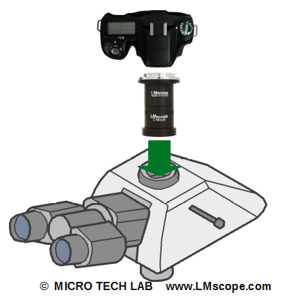 Adaptersolution for Zeiss Axio binoculartube 425521.9050.000