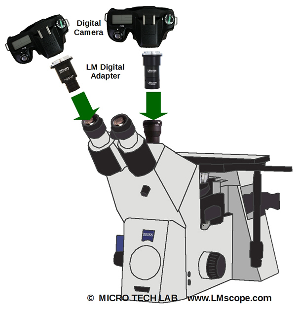 caméra sur Axio Observer par tube binoculaire ou tube photographique vertical