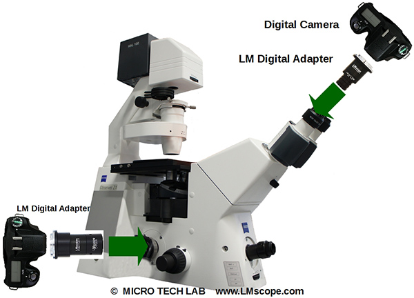 Zeiss Observer Kameras am Sideport und Okular