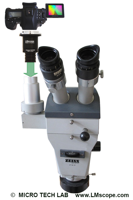 LMscope Adapter between digital camera and microscope