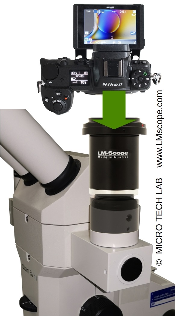 Top photo quality with modern DSLR on Zeiss Stemi SV11 stereomicroscope adaptersolution