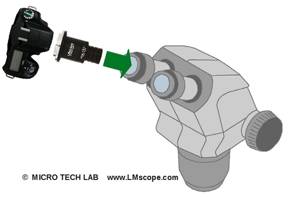 attach a dslr on zeiss stemi 508 eyepieces