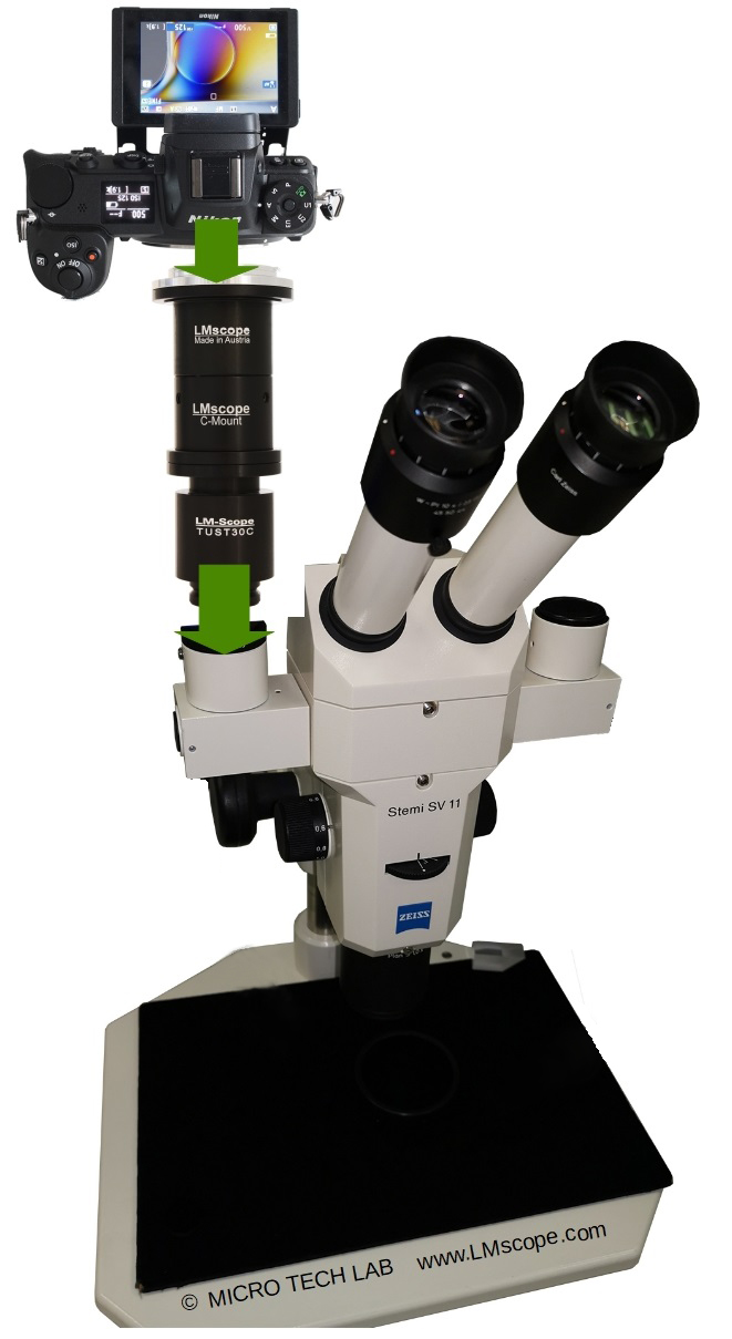 Modern DSLR on Zeiss Stemi SV, microscope adapter, microscopecamera