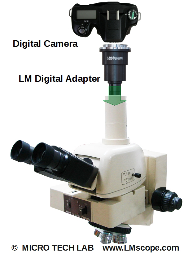 Nikon MM60 Messmikroskop Adapterlösung DSLR