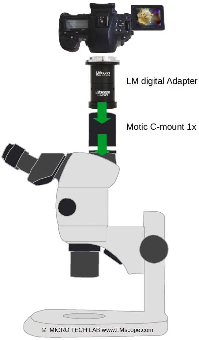 Conecte Motic SM7 con cmara digital Canon Sony Nikon Panasonic