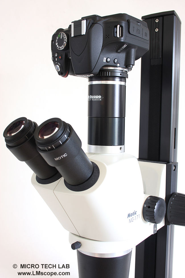 DSLR und  (DSLM Digital Single Lens Mirrorless)am  Motic Stereomikroskope SMZ 171
