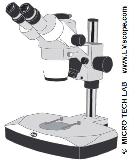 stromicroscope Motic SMZ 168 avec port trinoculaire