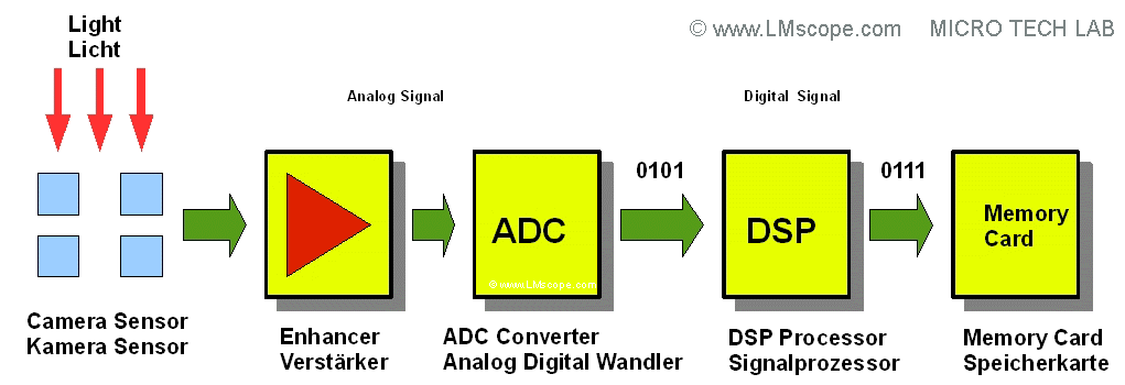 Sensor, Signalverstärker, Analog Digital Wandler (ADC) und Signalprozessor (DSP)