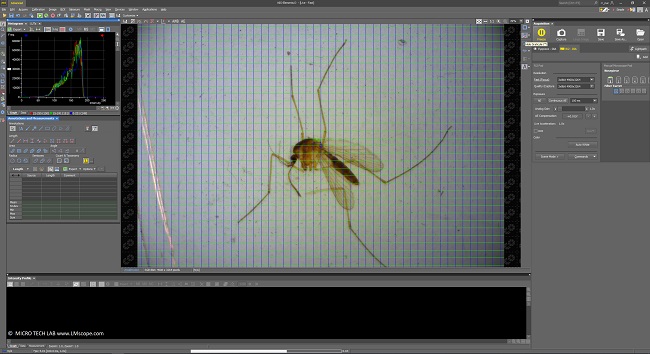 Nikon NIS software grid microphotography adaptersolution