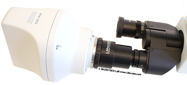 Nikon DS-Ri2 on eyepiece tube, eyepiece camera adapter solution, fullframe microscope camera
